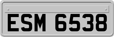 ESM6538