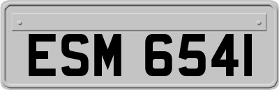 ESM6541