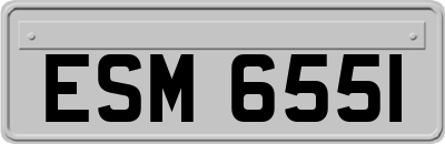 ESM6551