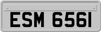 ESM6561