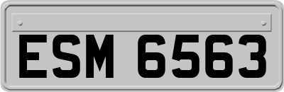 ESM6563
