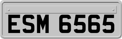 ESM6565