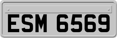 ESM6569