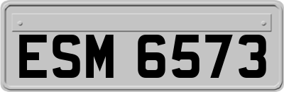 ESM6573