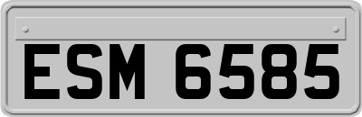 ESM6585