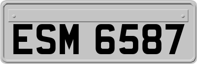 ESM6587