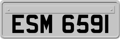ESM6591