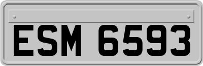 ESM6593