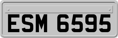 ESM6595