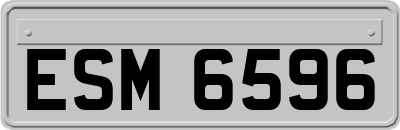 ESM6596