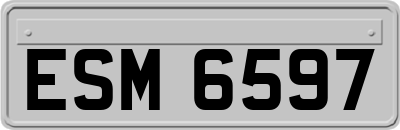 ESM6597