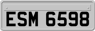 ESM6598
