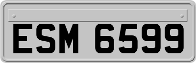 ESM6599