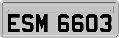 ESM6603
