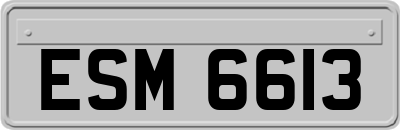 ESM6613