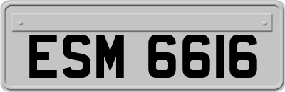 ESM6616