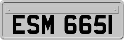 ESM6651