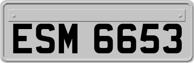 ESM6653