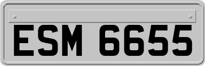 ESM6655