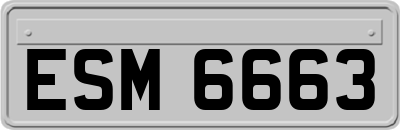 ESM6663