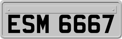 ESM6667