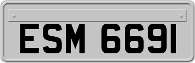 ESM6691