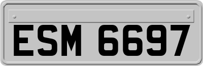 ESM6697