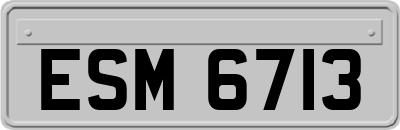 ESM6713