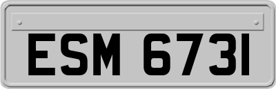 ESM6731