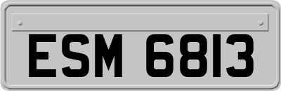 ESM6813