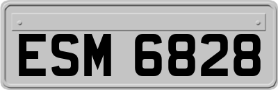 ESM6828