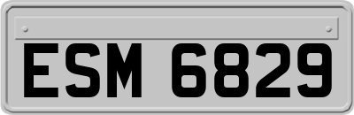 ESM6829
