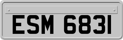 ESM6831
