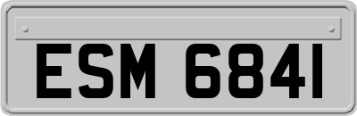 ESM6841