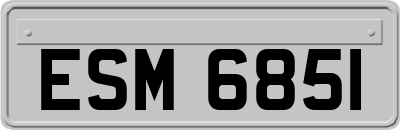 ESM6851