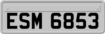 ESM6853