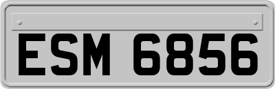 ESM6856
