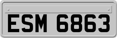 ESM6863
