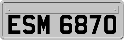 ESM6870