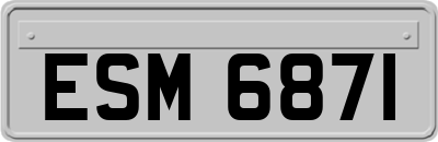ESM6871