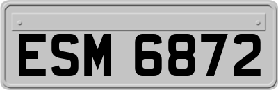 ESM6872