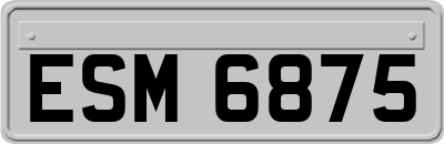 ESM6875