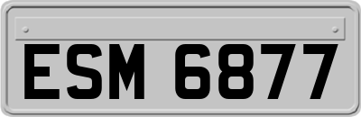 ESM6877