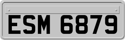 ESM6879
