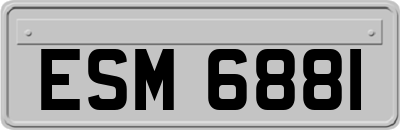 ESM6881