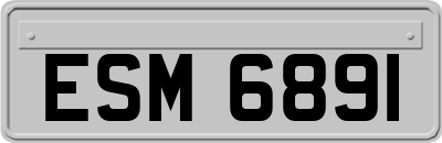ESM6891