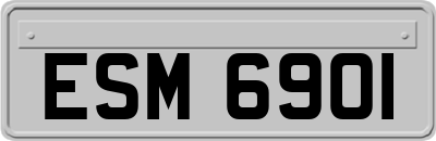ESM6901