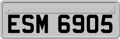 ESM6905