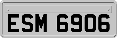 ESM6906