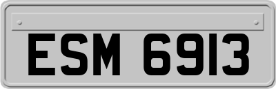 ESM6913